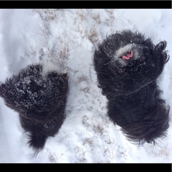 Meet your Posher, Melanie - Picture 8 of 16